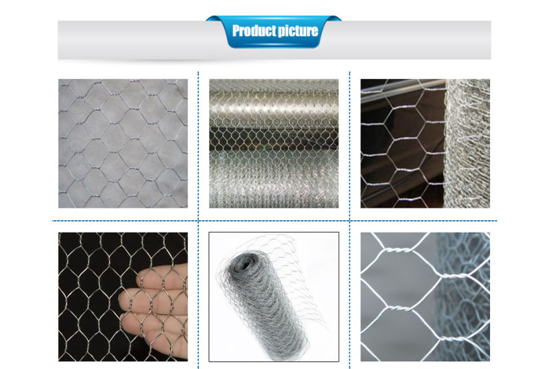 Electro Galvanized Hexagonal Wire Mesh Netting with High Quality (CE and SGS)