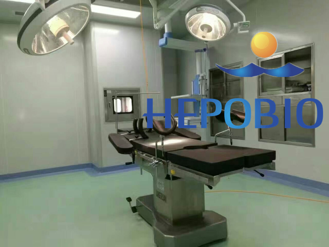 Ce Certificated Famous Brand Hot Sell Overall Reflection Shadowless Surgical Operation Light/Lamp