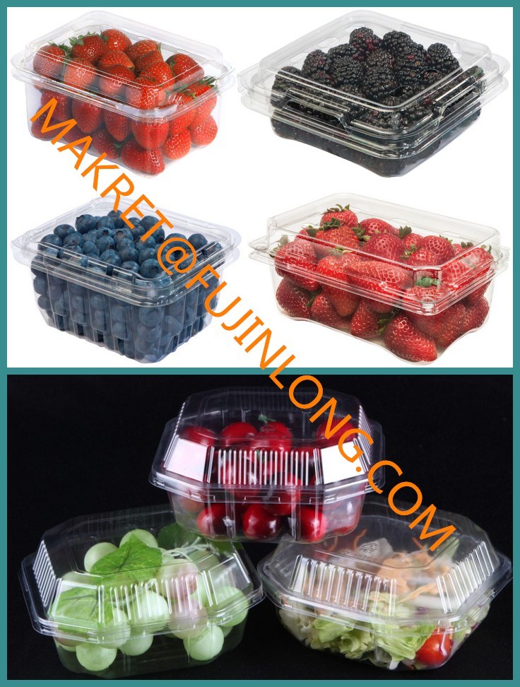 Plastic Container Making Machine Price