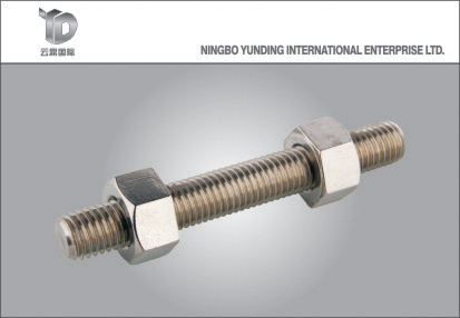 All/Full Threaded Rods; Electro Galvanized/HDG Threaded Rods Stainless Steel Threaded Rods