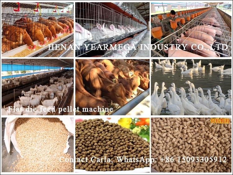 Top Quality Automatic Flat Die Animal Feed Pellet Machine