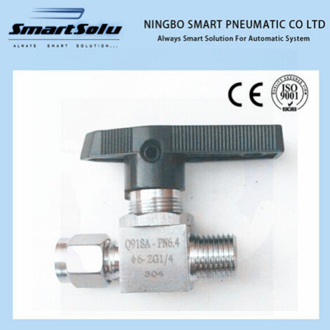 Stainless Steel Sleeve Ball Valve/Needle Valve