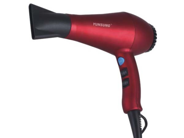 Hair Dryer Professional Products with Hair Diffuser (YS-6721)