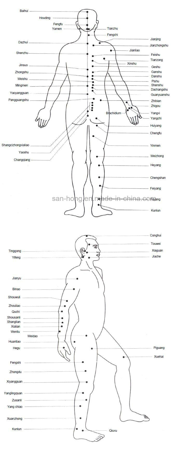 Lowe Level Laser 810nm for Wound Healing Pain Relief and Insomnia with 2 Probes (HY30-D)