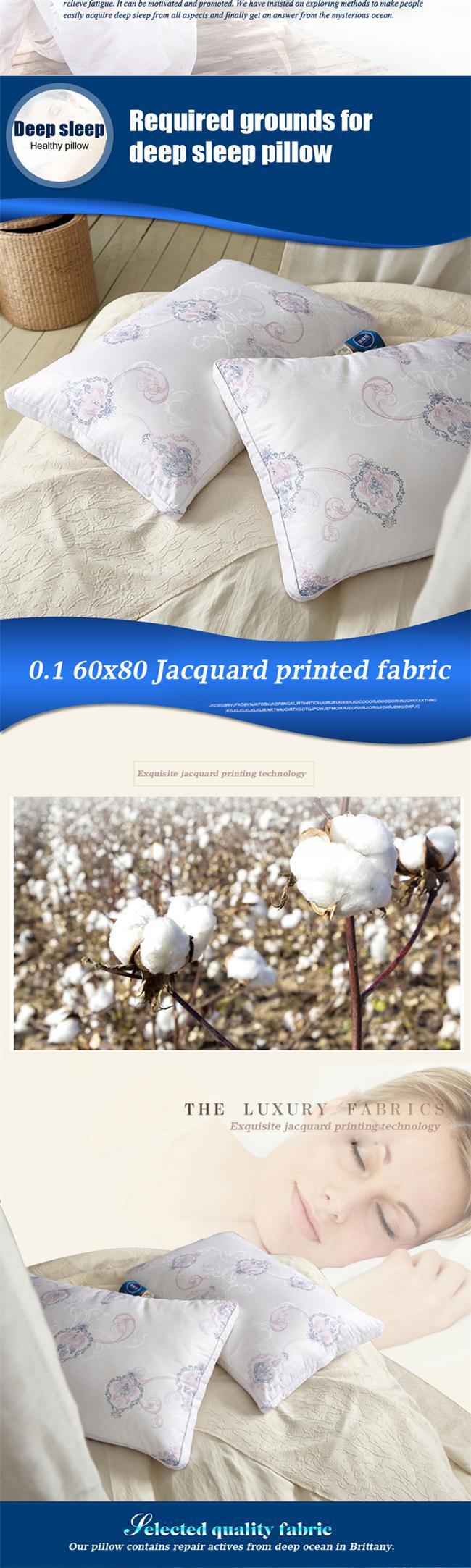 Five Star Hotel Professional Pillow Supplier 100%Cotton Fabric Microfiber Filling Cheap Pillow