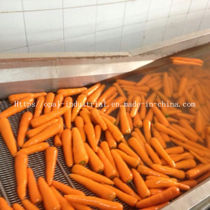 10kg Carton China Fresh Carrot