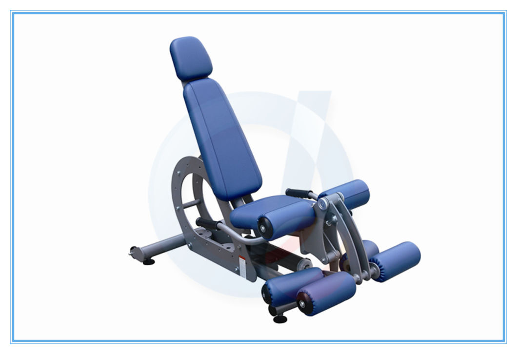 Ce Certified Isokinetic Back Rehabilitation Equipment