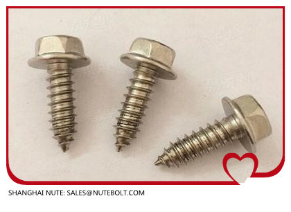 Stainless Steel 304 316 DIN6928 Hexagon Washer Head Tapping Screw Hex Flange