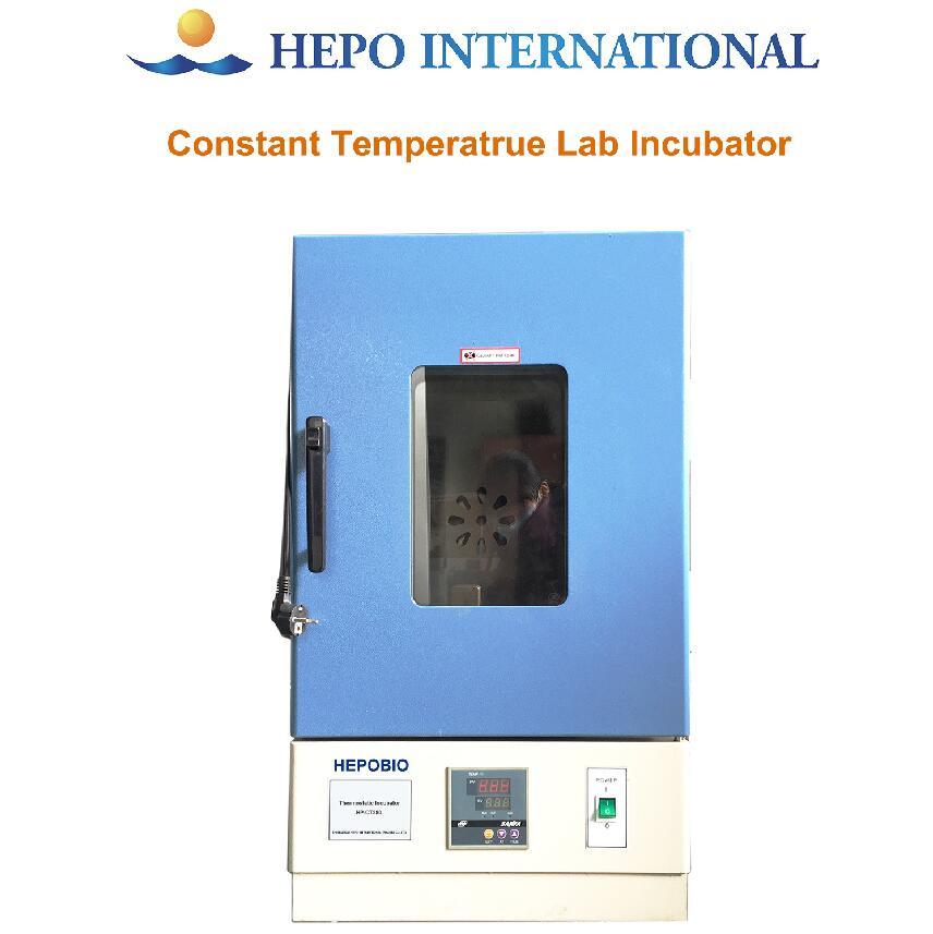 Constant Temperature Incubator for Biochemistry Laboratory