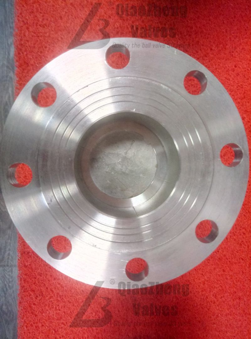 Stainless Steel Flanged Vertical Spring Check Valve H42W/H/Y