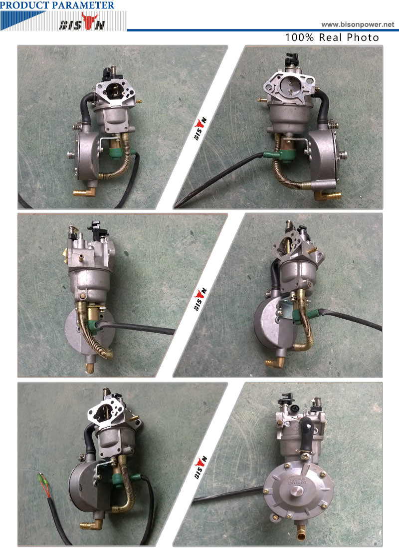 Bison China 168f LPG Carburetor Generator Spare Parts, Gas Conversion