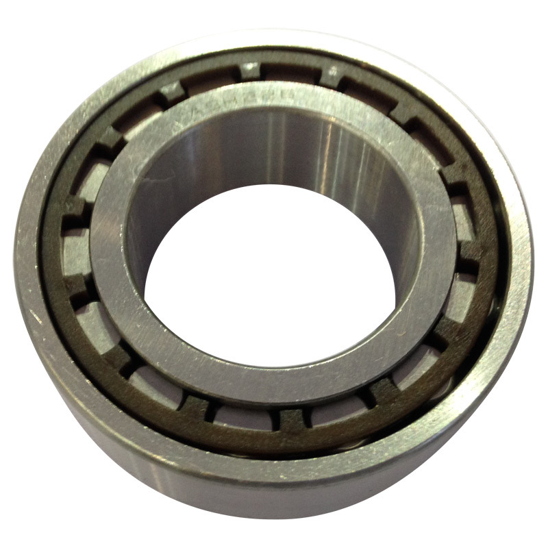 Cylindrical Roller Bearing Thrust Bearing N/Nu/NF/Nj/Nup/Ncl/Rn/Rnu Single Double Row