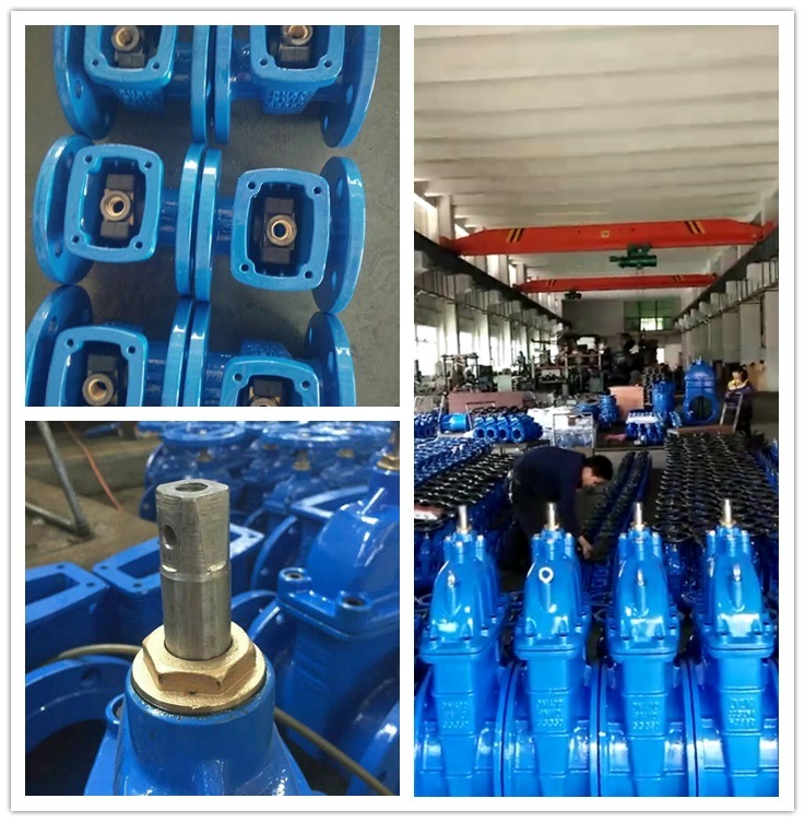 GOST Russia DIN Pn16 Rcast Ductile Iron Rubber Seat Gate Valve for Drinking Water