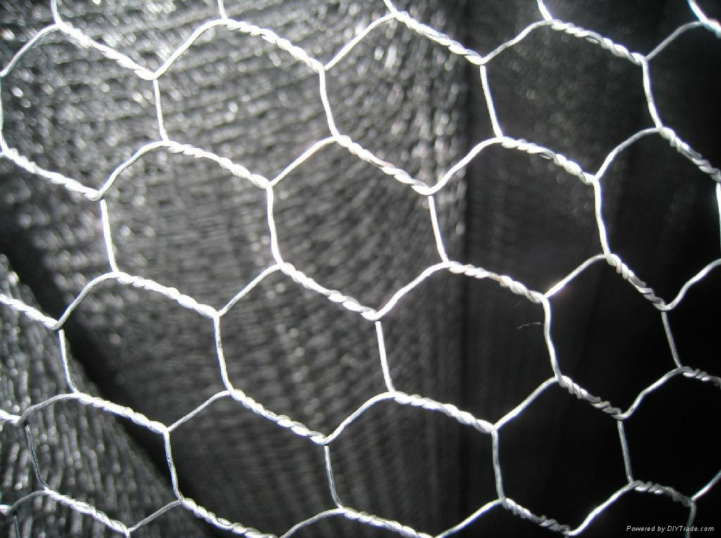 Galvanized Iron Hexagonal Wire Mesh