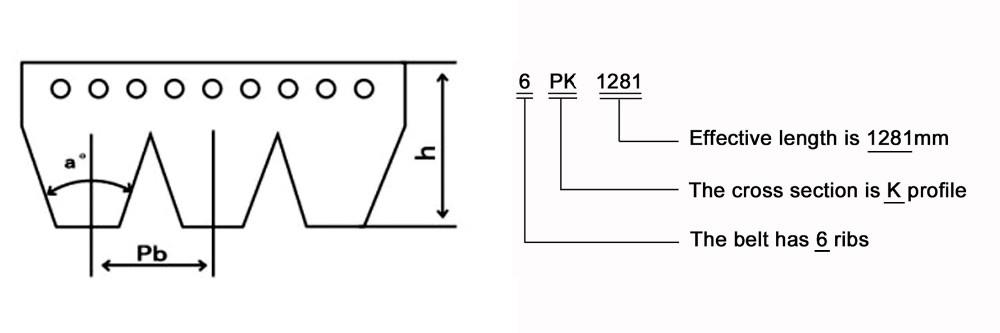 Automotriz HNBR PK Belt V Correa acanalada Automotive HNBR PK Belt V Ribbed Belt