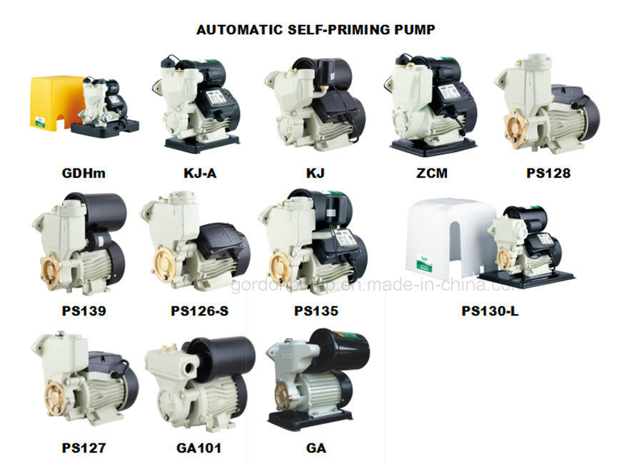 Wzb Series Single Phase Self Priming Vortex Household Water Pump