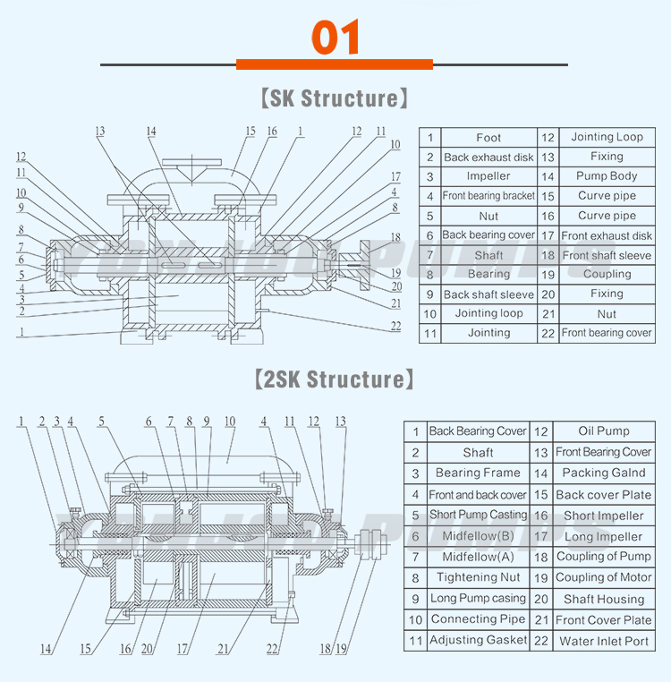2sk Double Stage Water Ring Vacuum Pump