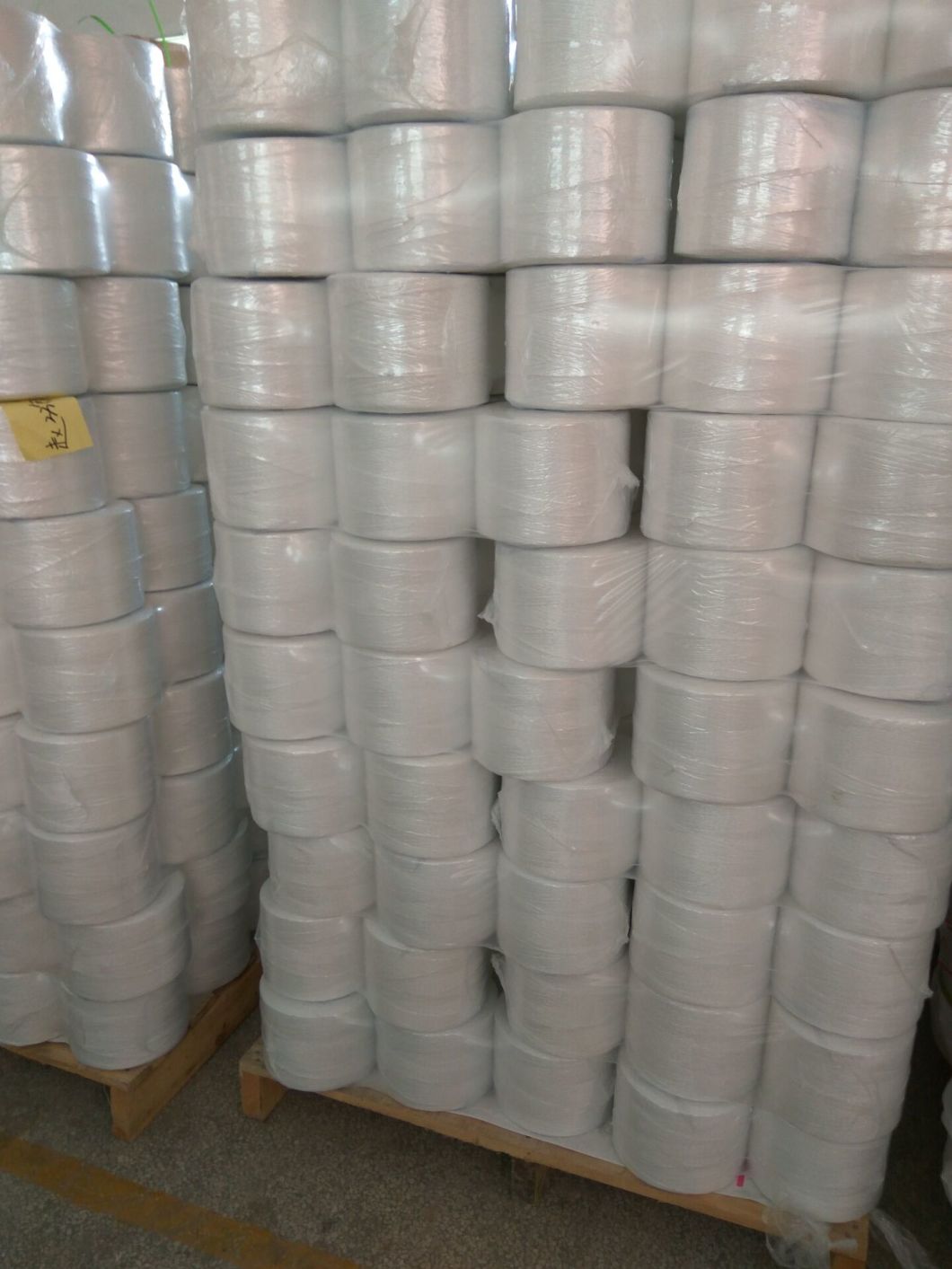 High-Performance Agriculture PP Packing Rope (LT 002)