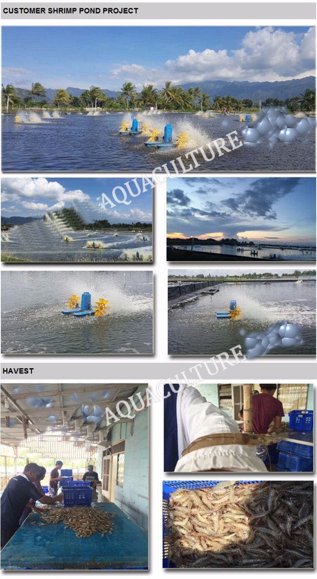 Two Impeller Paddlewheel Aerator Aquaculture Equipment