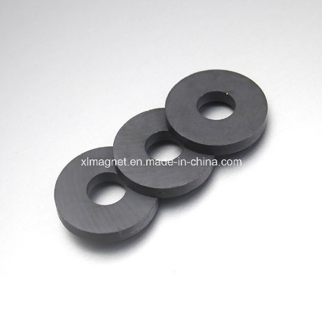 Round Ferrite Magnet with Hole D587