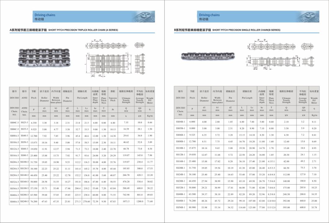 B Series Stainless Steel Driving Chains Short Pitch Precision Single Roller Chain Ss04b1 05b1 06b1 08b1 10b1 12b1 16b1 20b1