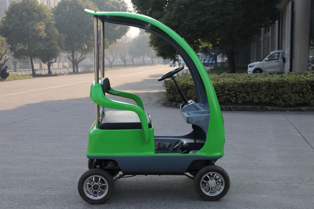 Mini Electric Golf Cart for Kids