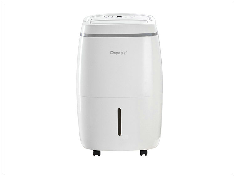 Dyd-F20A Hot Product Portable Excellent Room Dehumidifier