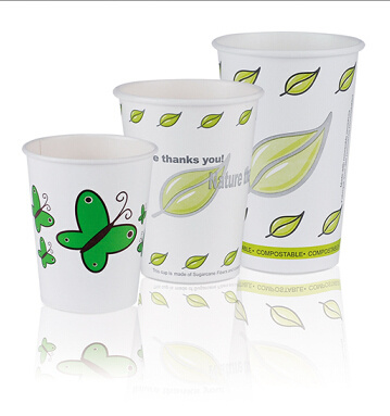 Disposable Single Wall Paper Cold Cup