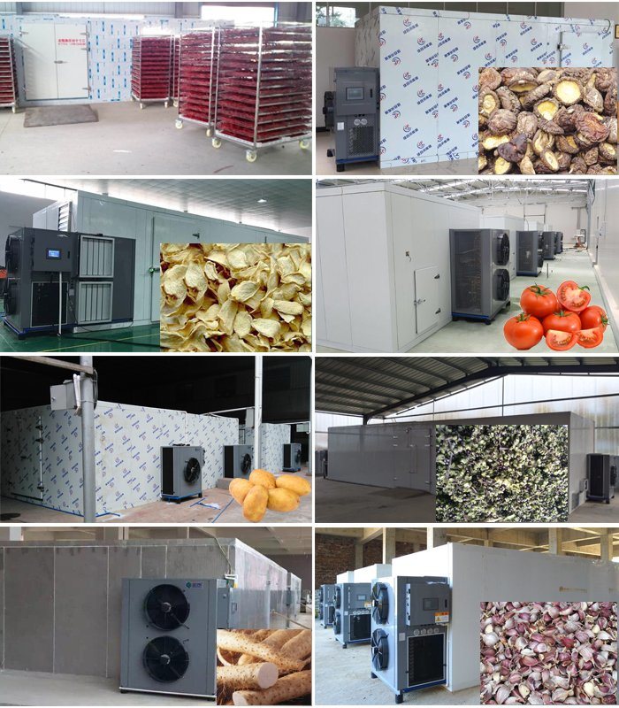 Professional Factory Made Fruit Vegetable Industrial Tray Dryer