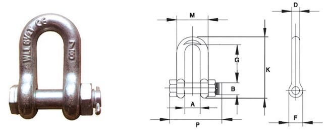 G2150 Marine Hardware D Shackle with Superior Quality