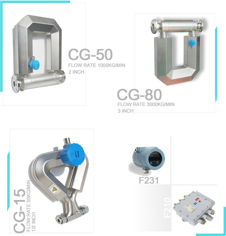 LPG Gas Mass Flow Meter