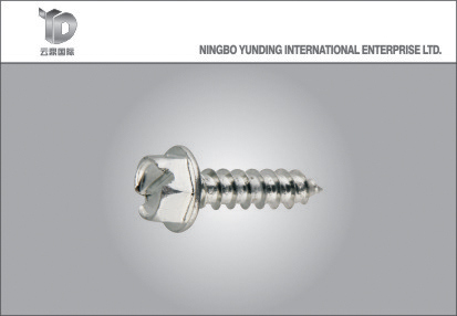 Good Quality Hexagonal Slotted Head Self Tapping Screw