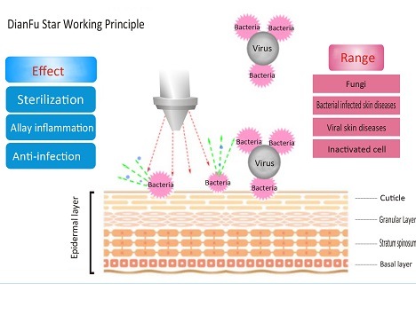 Dianfu Star 10 Times Effects of Laser Equipment CO2 Fractional