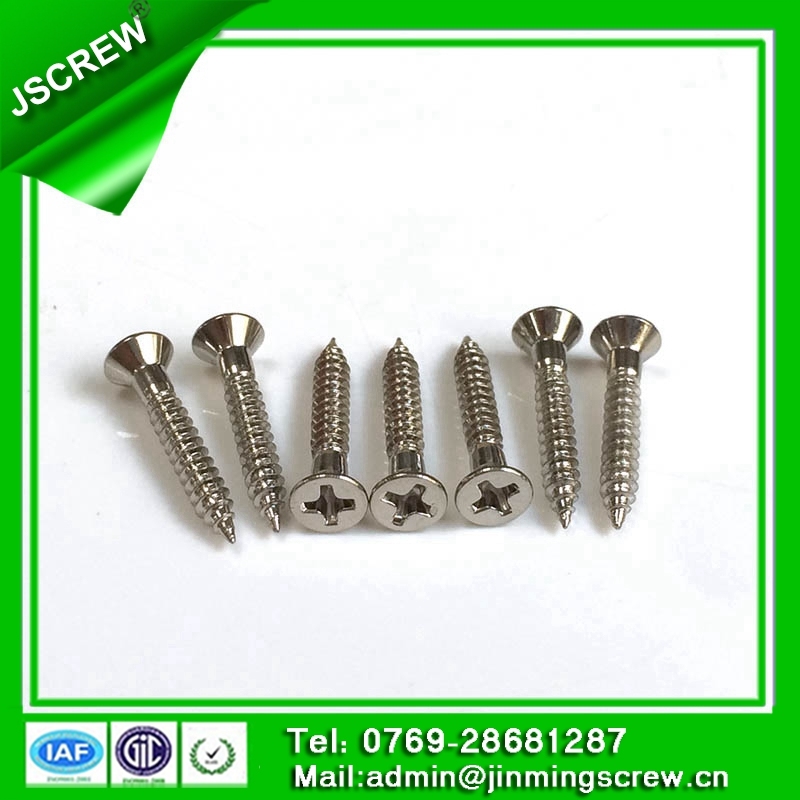 6mm Stainless Steel Countersunk Head Self Tapping Screw for Building