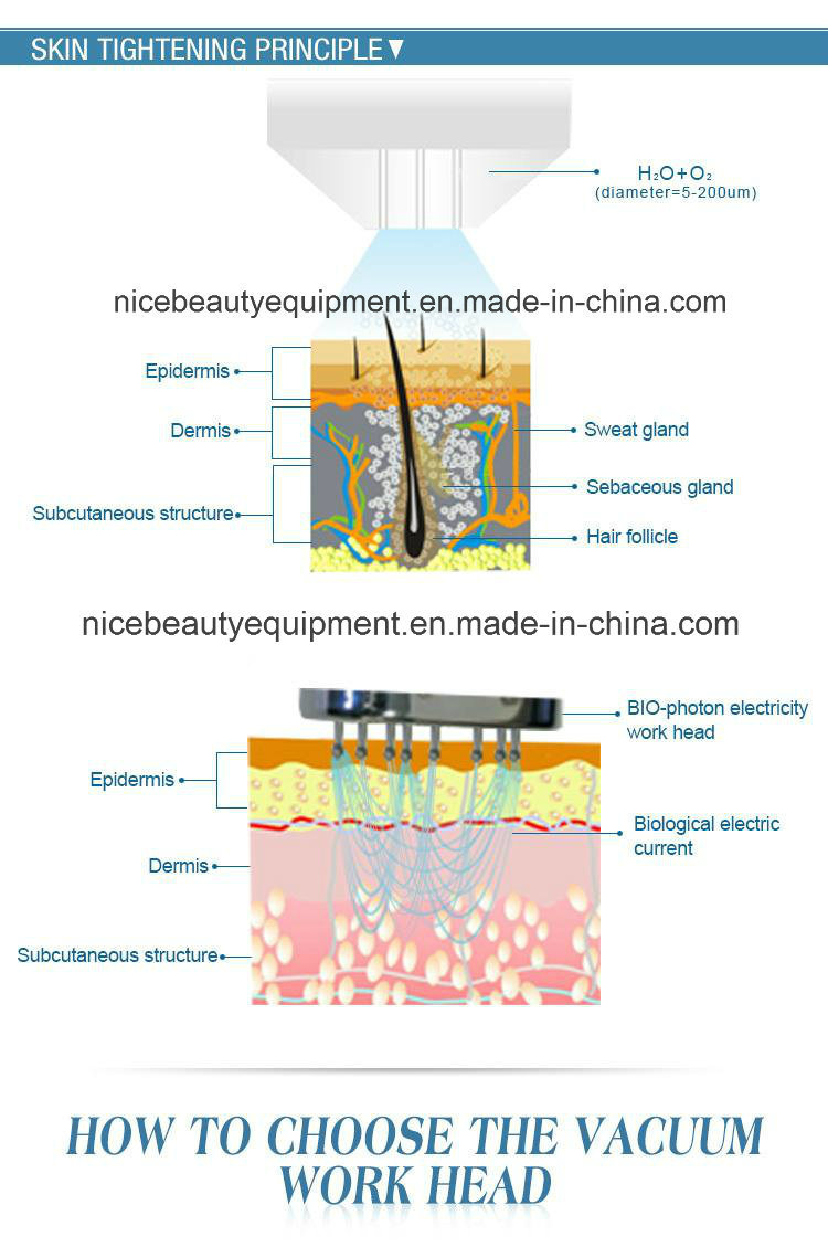 Beco Gl3 Pigment Removal & Acne Treatment Mini Oxigen Facial Machine for Sale