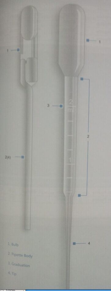Disposable Transfer Pipette with High Quality