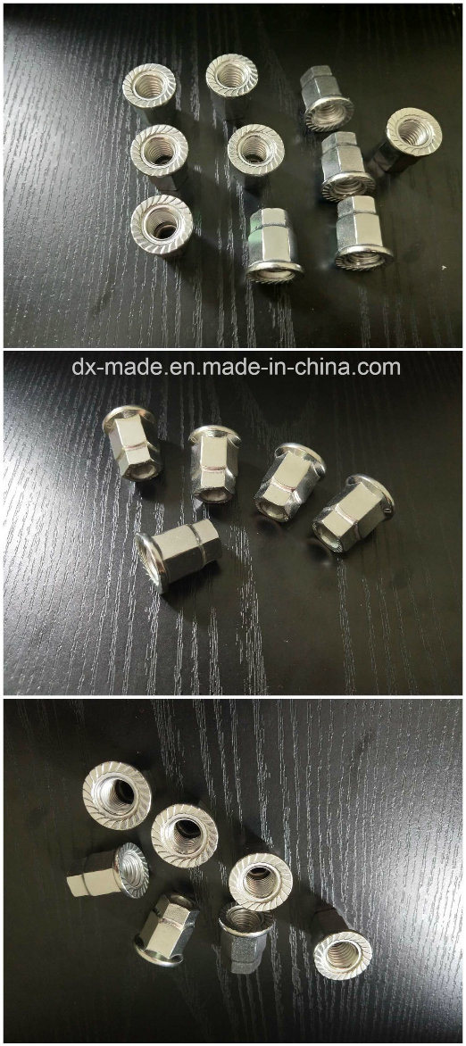 Stainless Customized Hex Flange Nuts with Serration