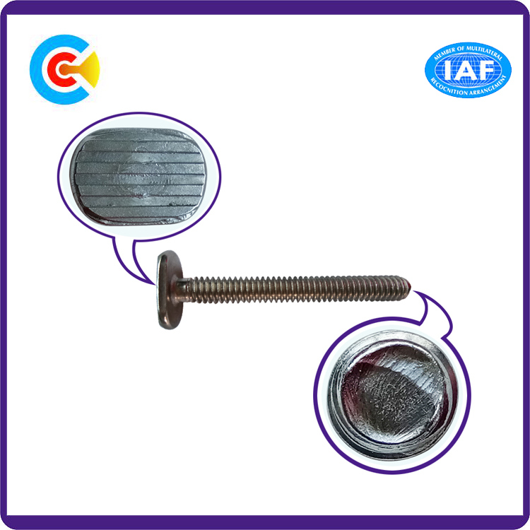 Stainless Steel Flat Tail T Head Fastener Screw for Bathroom