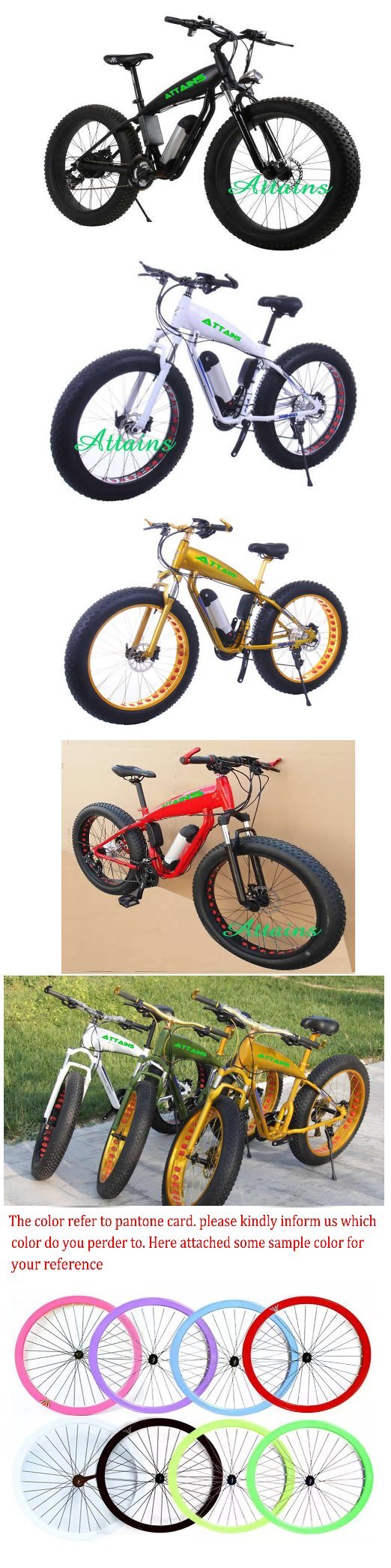 Fat Tire Mountain Electric Bicycle with 500W Motor Ebike