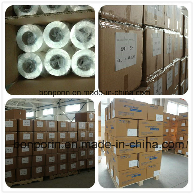 Ultra High Molecular Weight Polyethylene (UHMWPE) Fiber