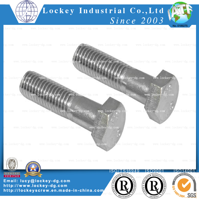 Hex Bolt Hex Screw Flange Screw Flange Bolt HDG