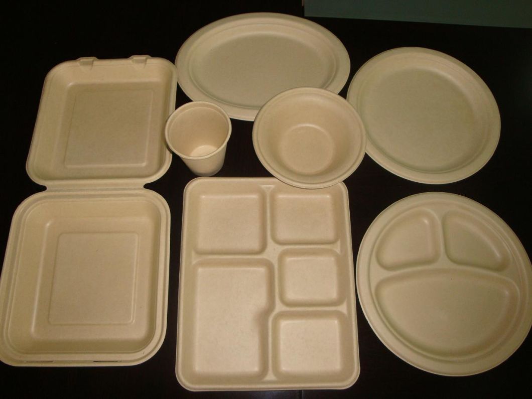 Biodegradable and Compostable Bagasse Pulp 1000ml 2 Compartment Clamshell Food Container