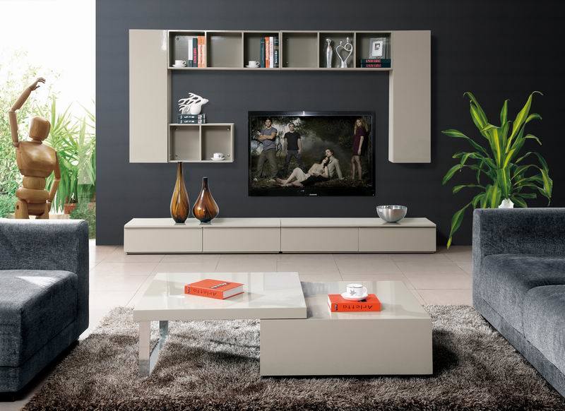 Living Room Design Furniture Set (Series DS110#)