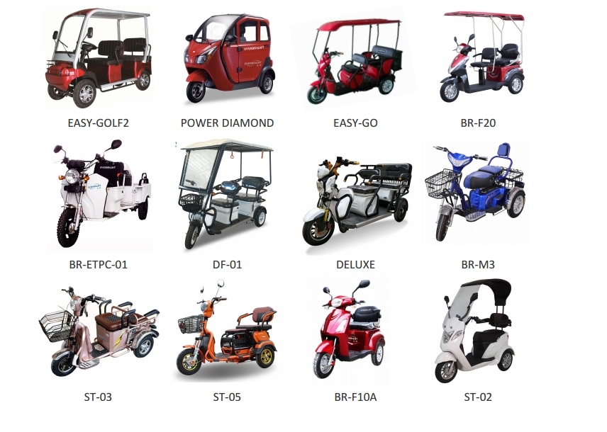 Electric Three 3 Wheel Delivery Motorcycle for Sales in China