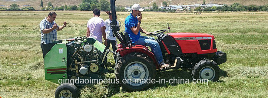 Manufacturer Ce Approved Mini Round Hay Baler with Factory Price