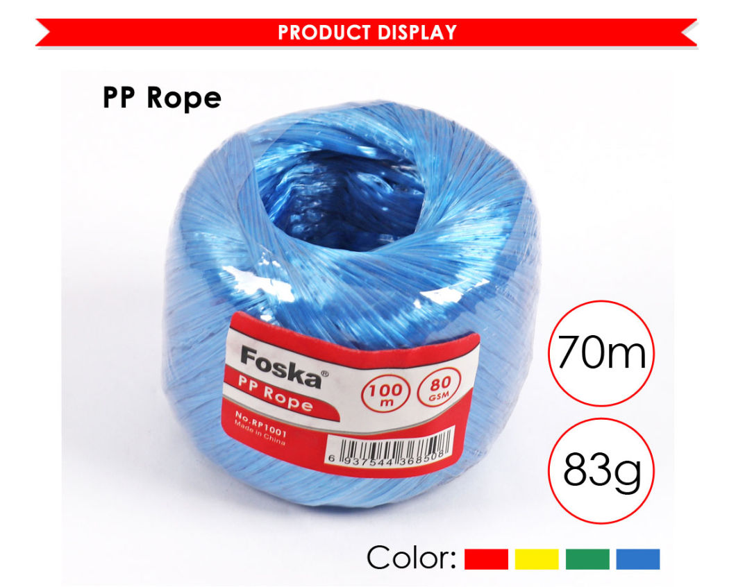 Foska Good Quality 100m Popular PP Rope