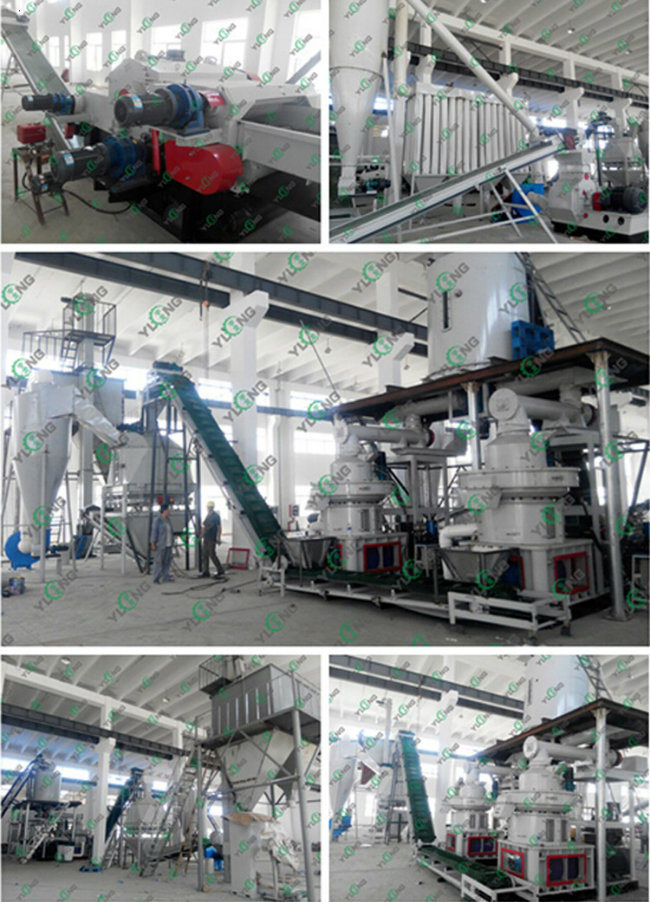 Biomass Wood Sawdust Granulator Machine