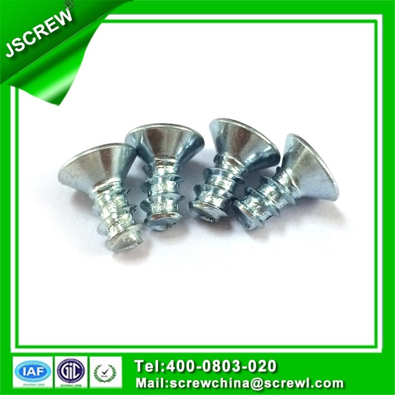 Customized Stainless Steel Round Head Wood Screws M3