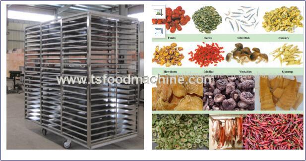 Industrial Drying Machine Vegetable and Fruit Hot Flue Dryer