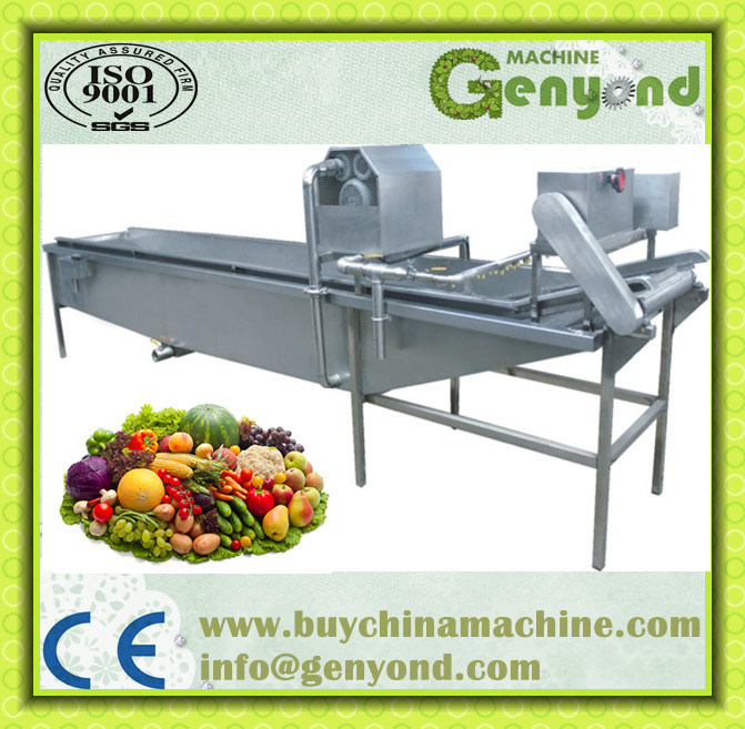 Fruit and Vegetable Processing Line/Machine